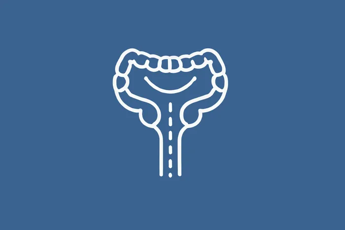 Proktologie -Enddarmerkrankungen
